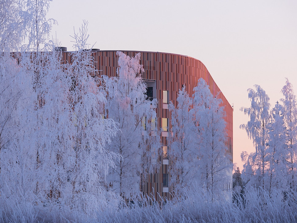 M-talo, the House of Opportunities in the winter during sunset, surrounded by frosty trees. Photograph for the 2022 Architectural Photography Awards